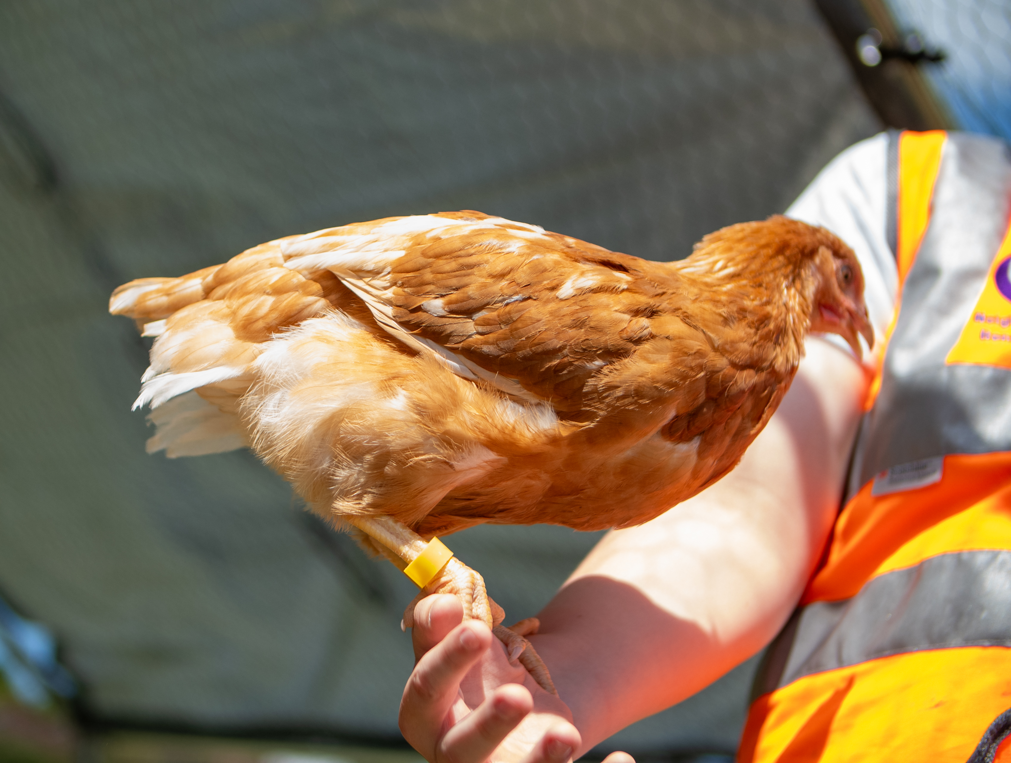 Hogarth_Final_Exports-1350570